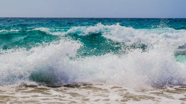 One Ocean Beauty