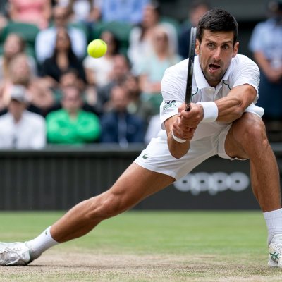 Novak Djokovic at Wimbledon Novak Djokovic at Wimbledon
