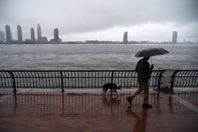 Man Walks Dog in NYC