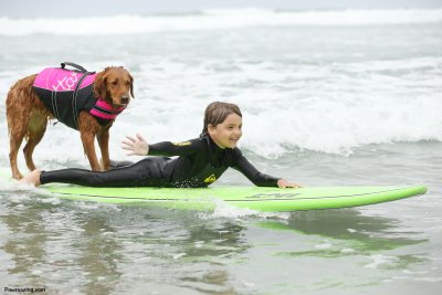 Ricochet the world famous surf dog 
