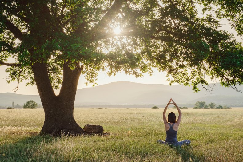 Meditation