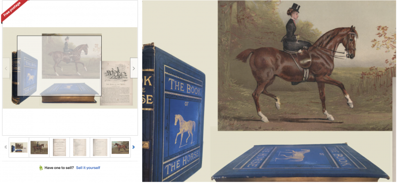 The Book of the Horse by S.Sidney