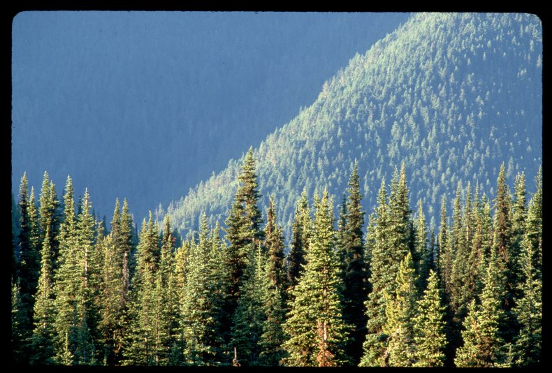 Nature in Washington State