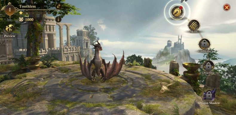 A Baby Dragon in 'King of Avalon'