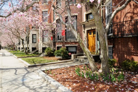 PLUS: Boston University