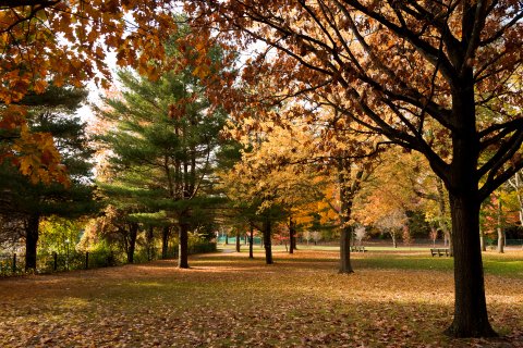 PLUS: Boston College