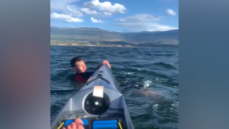 Screengrab from Sally Wallick's video.