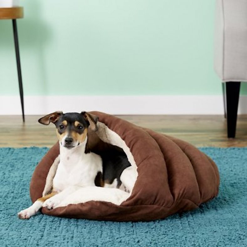 best pet products cuddle cave