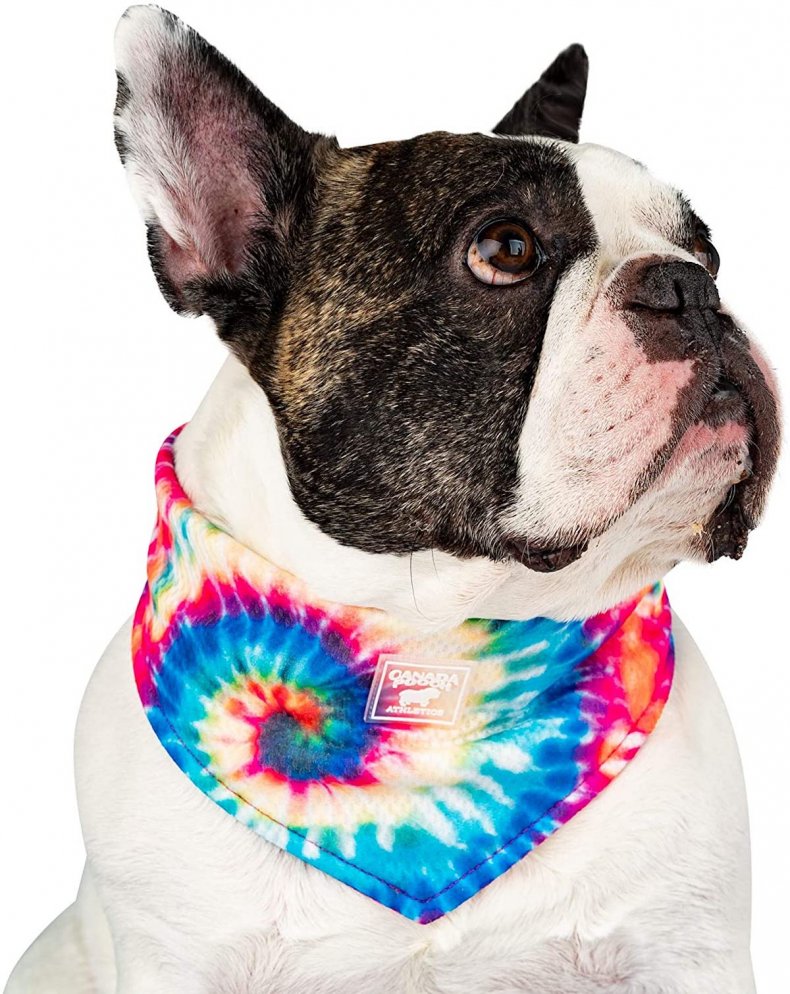 best pet products cooling bandana