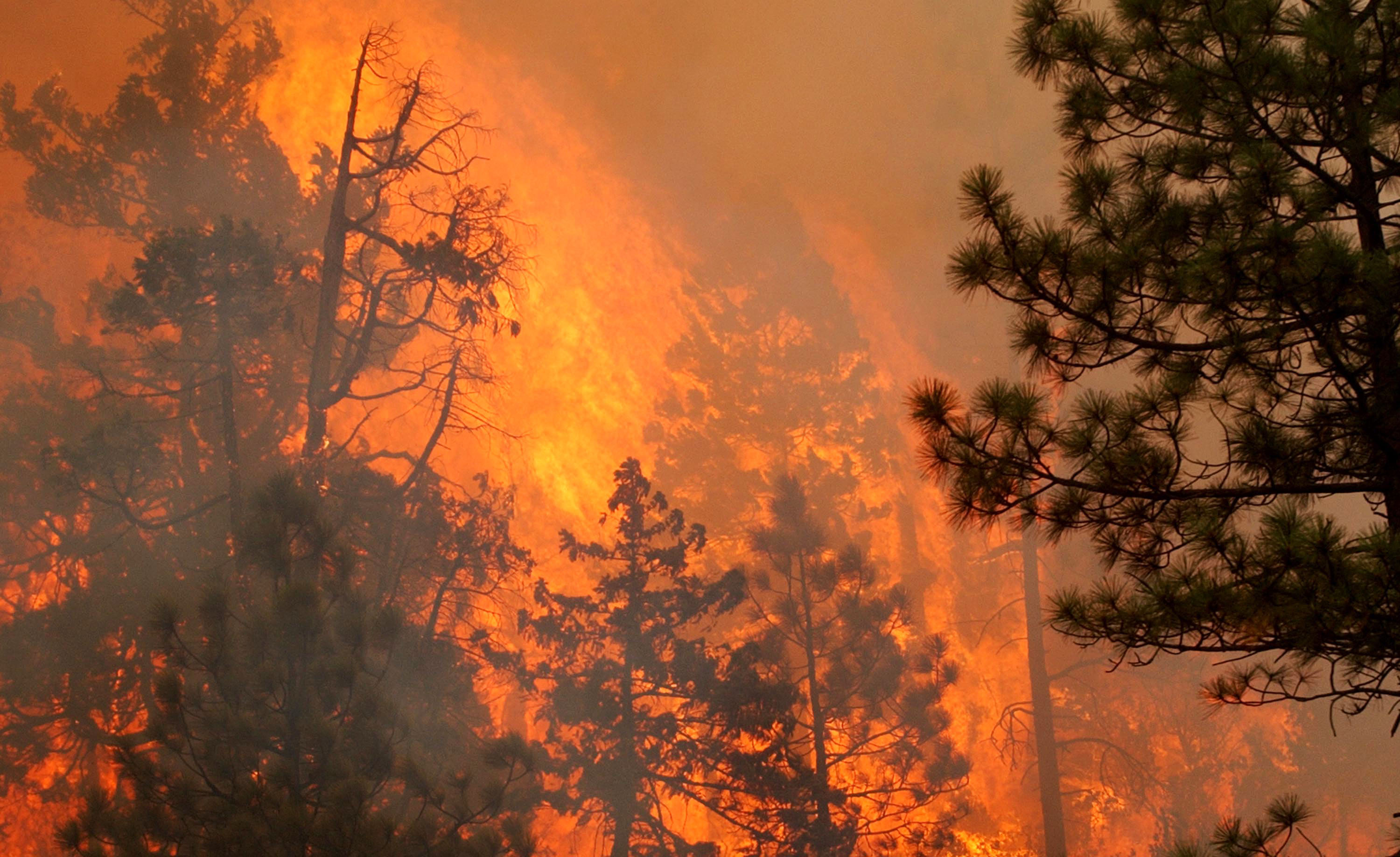 Орегон горят леса
