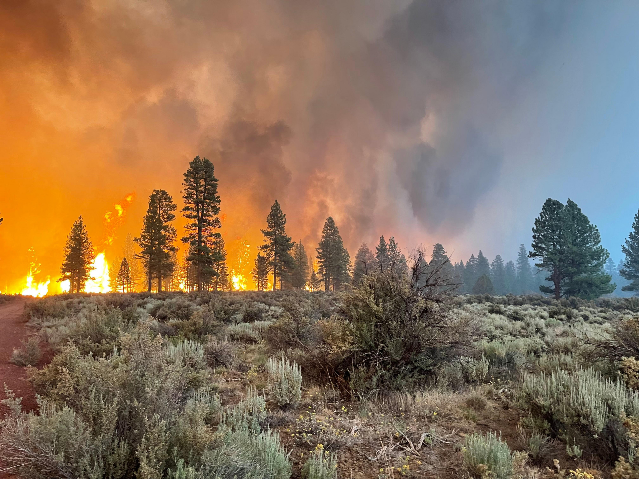 Oregon Wildfires Map, Update As Bootleg Burns Area Five Times The Size ...