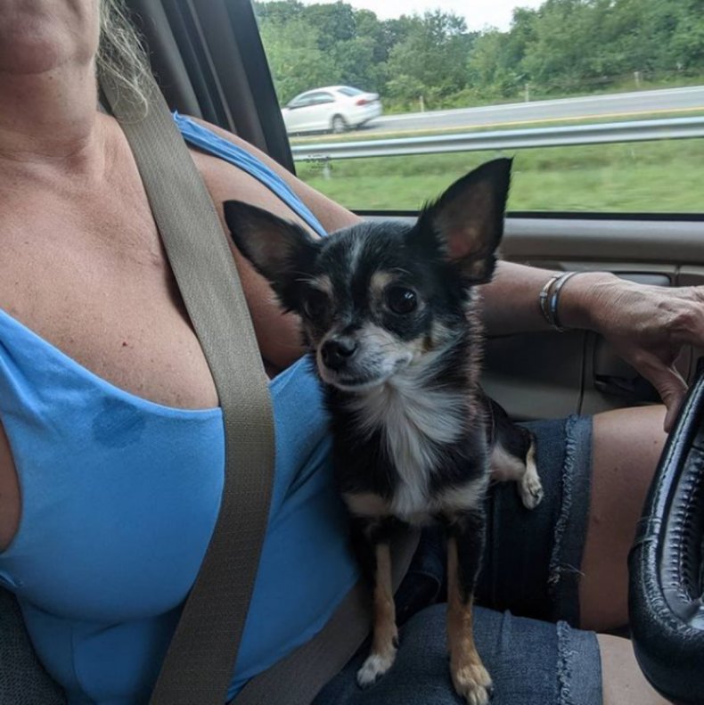 Lisa-Marie Birdsall in car with dog .