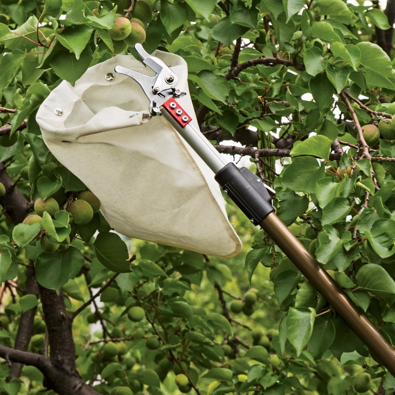best backyard products fruit picker
