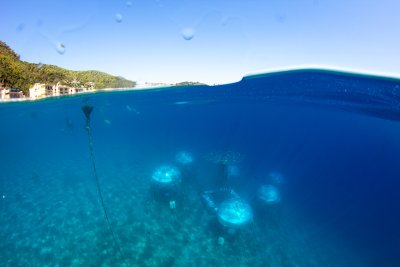 Nemos Garden is an Italian underwater garden Nemos Garden is an Italian underwater garden