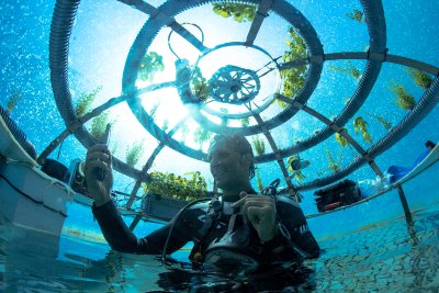 Nemos Garden is an Italian underwater garden Nemos Garden is an Italian underwater garden