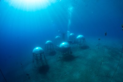 Nemos Garden is an Italian underwater garden Nemos Garden is an Italian underwater garden