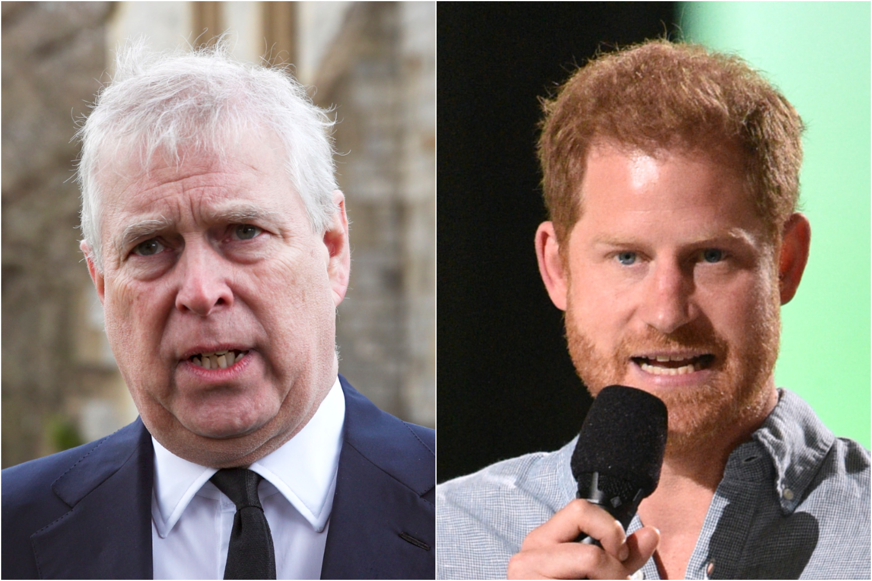 Prince Harry Less Popular Than Prince Andrew Among U K Boomers Algeria News