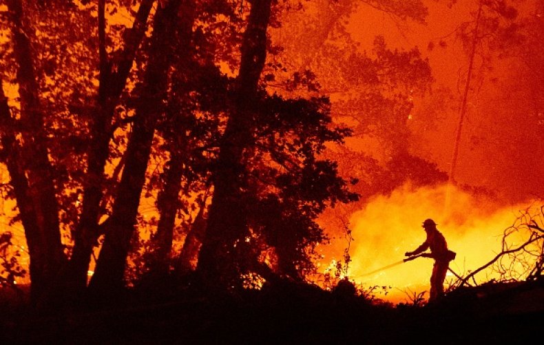 Gender Reveal Party Wildfire Manslaughter Firefighter Death