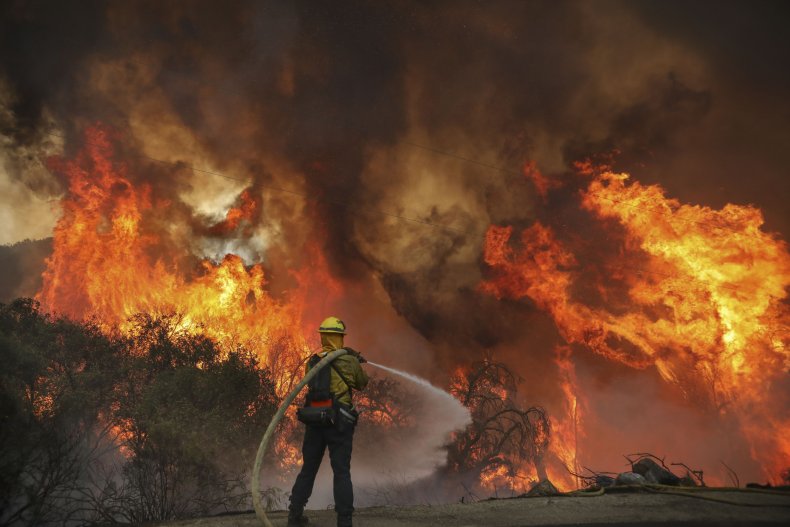 Firefighters fight brush fire