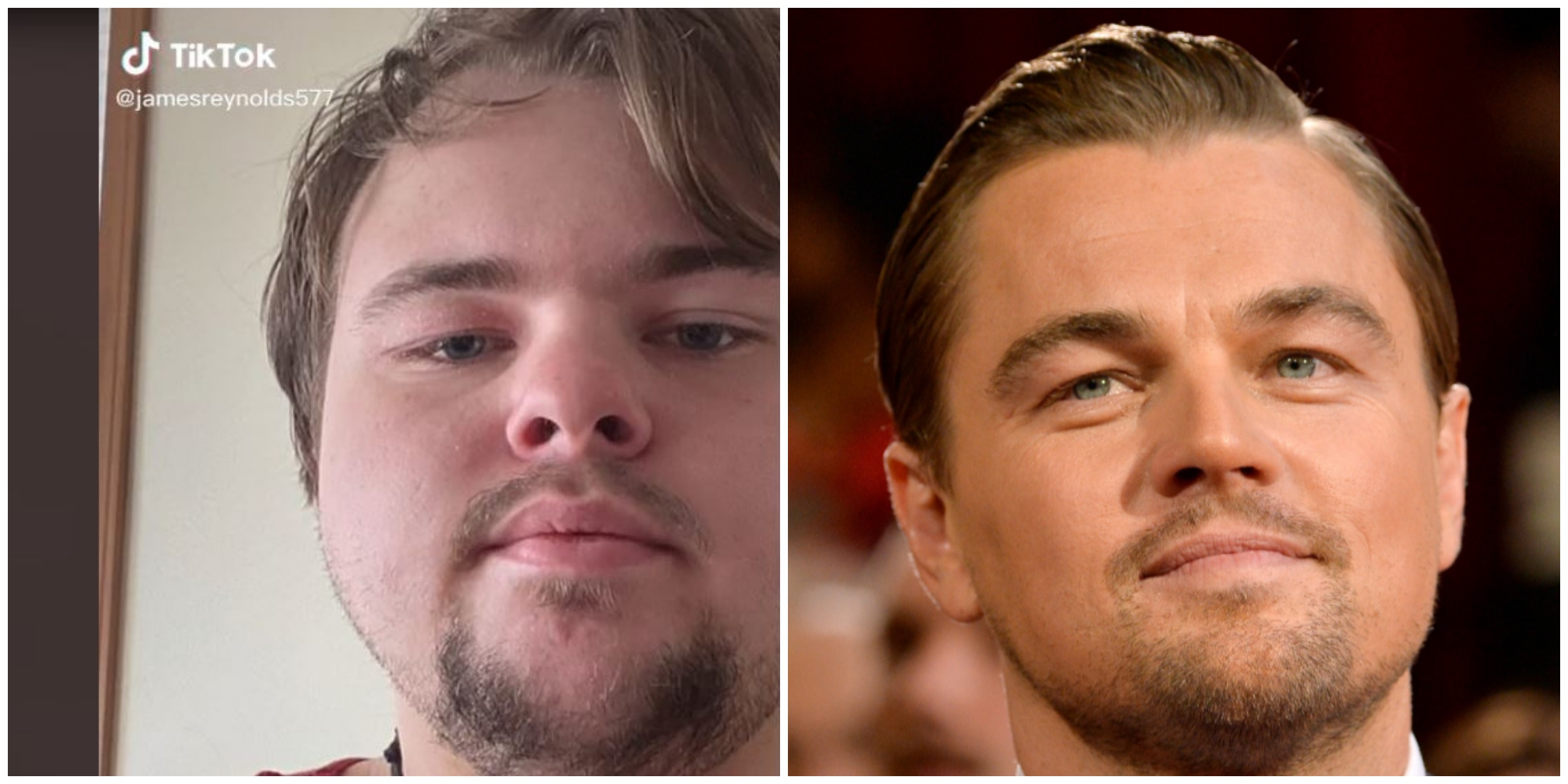 Ohio Man Goes Viral Due to Uncanny Resemblance to Leonardo ...
