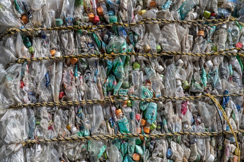 Plastic turned into edible protein 