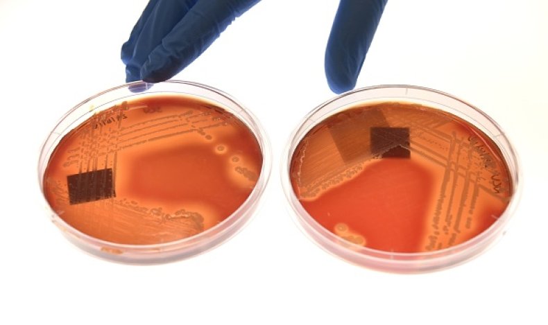 Superbug Fungus Disinfectant Hospital