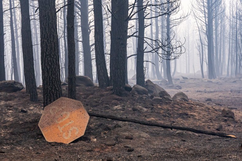 Bootleg Fire Burns in Oregon