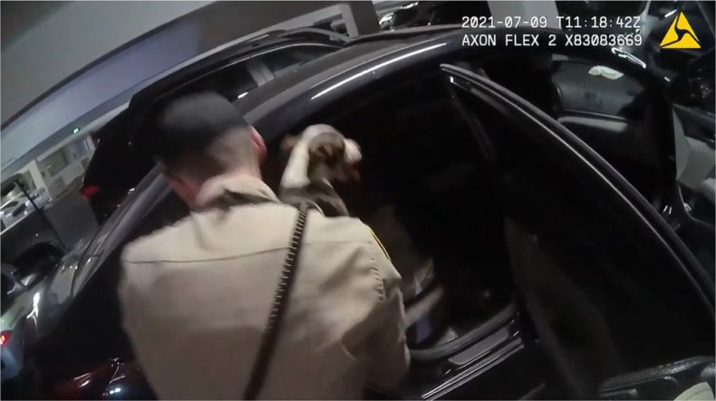 Casino dog rescue