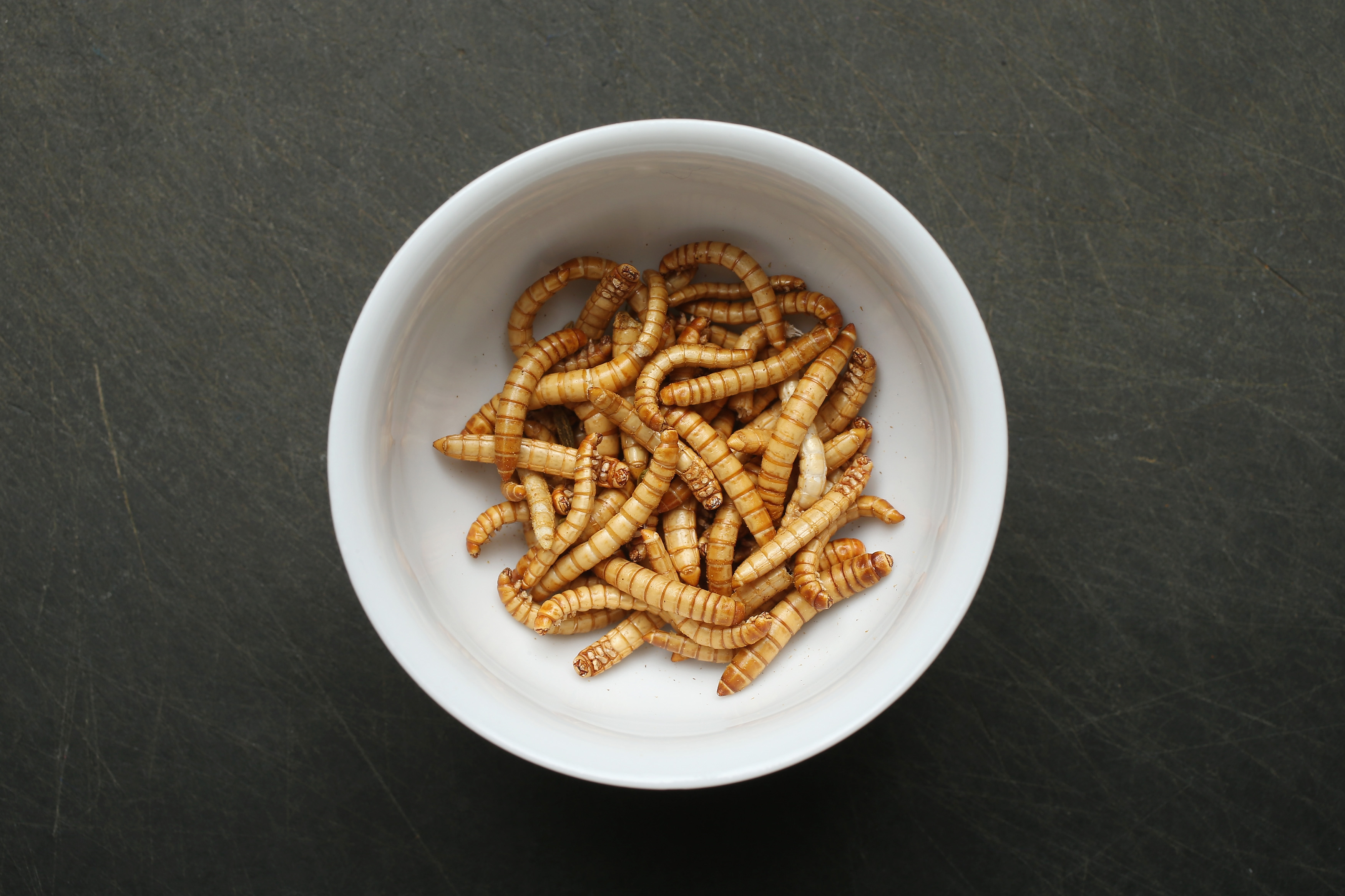 Viral Video Shows Man Finding ‘Family’ of Mealworms in Box of Cereal