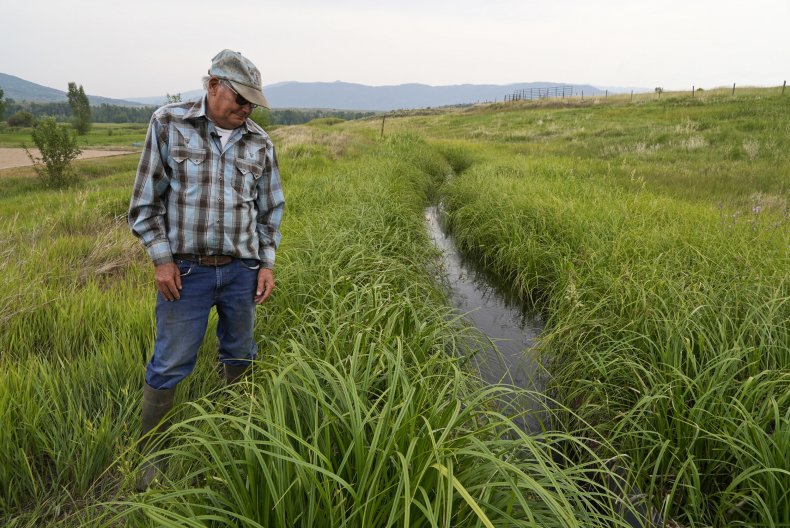 Rancher Observes Drought