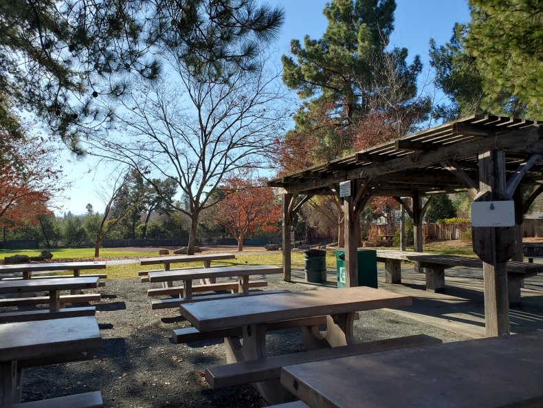 Picnic Table