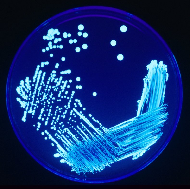 Rhode Island Legionnaires’ Disease outbreak
