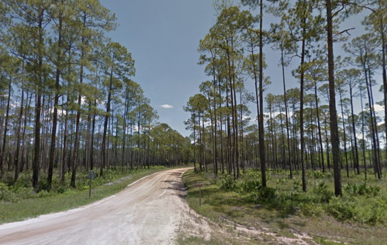 Liberty County- housing