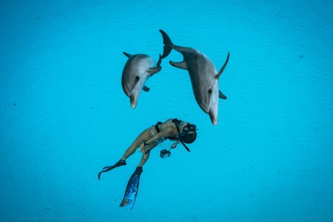 CUL_Map_Trills_ Dive Ninja Expeditions