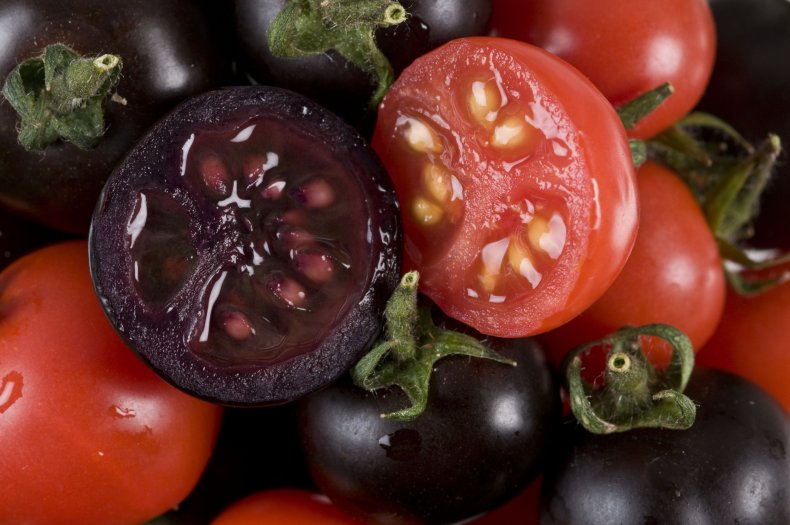 purple tomatoes