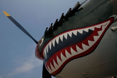 Taiwan to Commemorate WWII Flying Tigers Volunteers Taiwan to Commemorate WWII Flying Tigers Volunteers