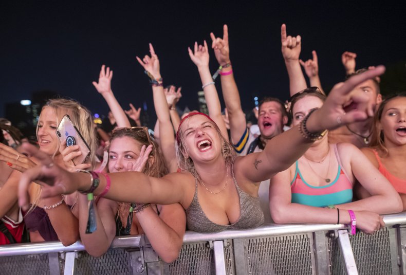 Lollapalooza festival attendees