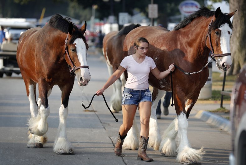 Iowa State Fair