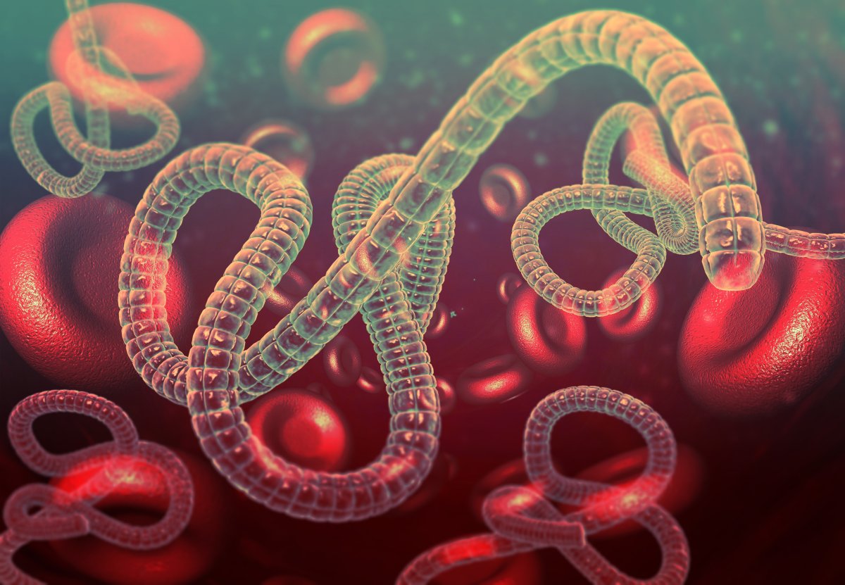 How Contagious Is Ebola? CDC Documents Compare Virus to COVID Delta Variant