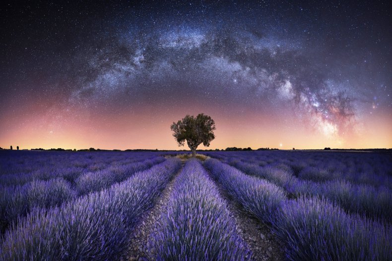 Armonia