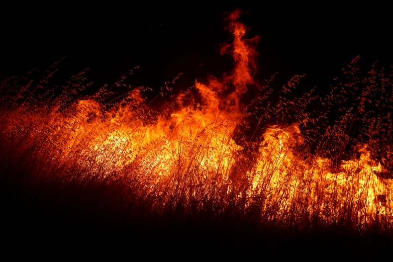wildfire