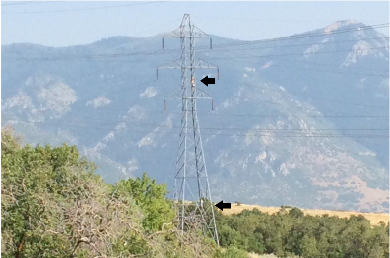 Police crack down on power line hammocks