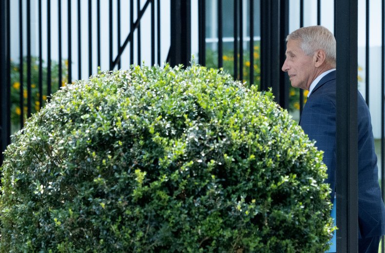 Anthony Fauci covid lockdowns