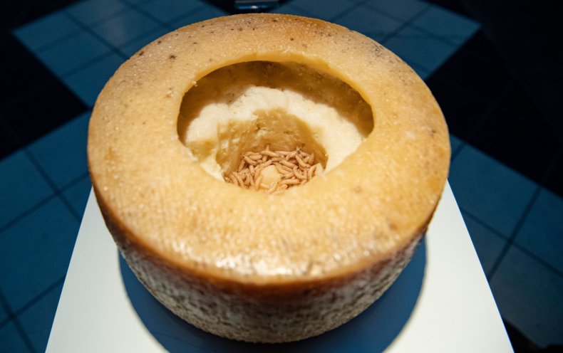 Casu Marzu