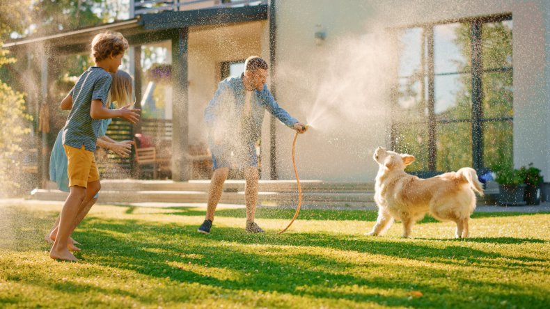 Family play with dog and garden hose