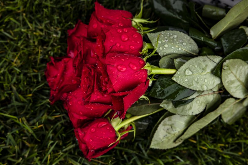 A bouquet of roses