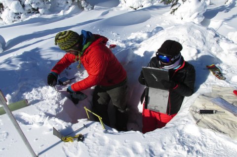 CUL_Map_Citizen Science_Arctic's Edge