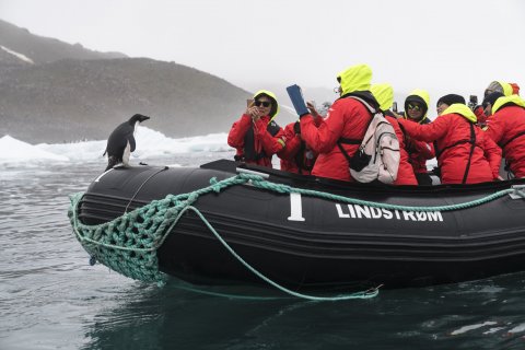 CUL_Map_Best Citizen Science Trips Penguins