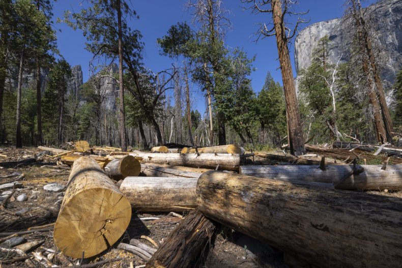 Yosemite National Park, California