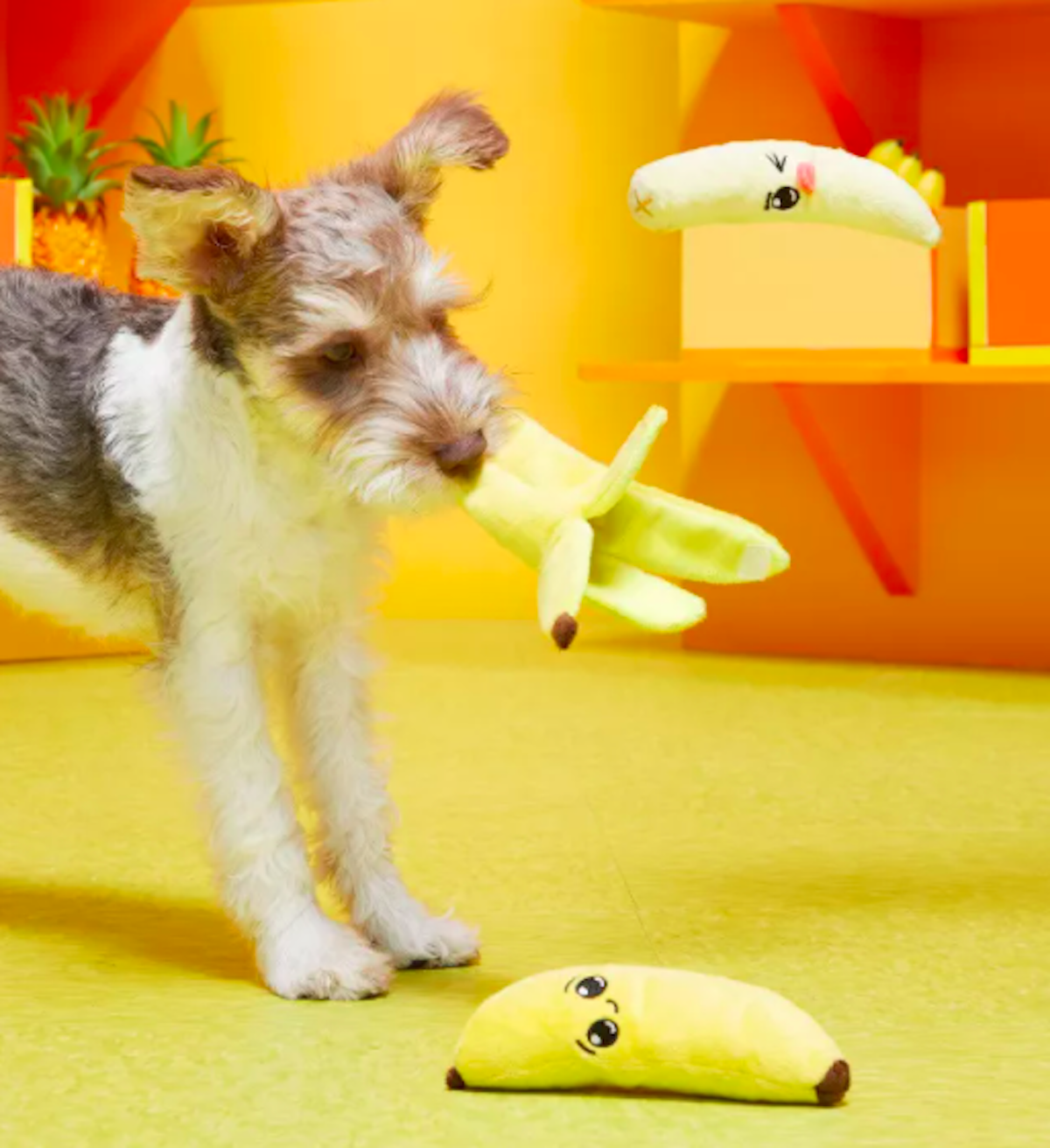 best dog toys for little dogs